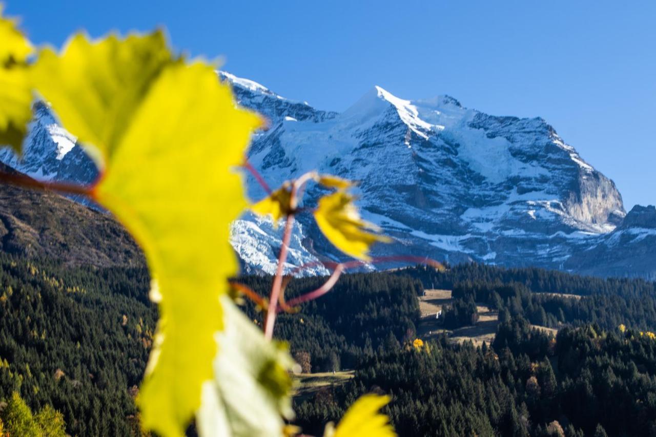 Chalet Aargovia South Wengen Esterno foto