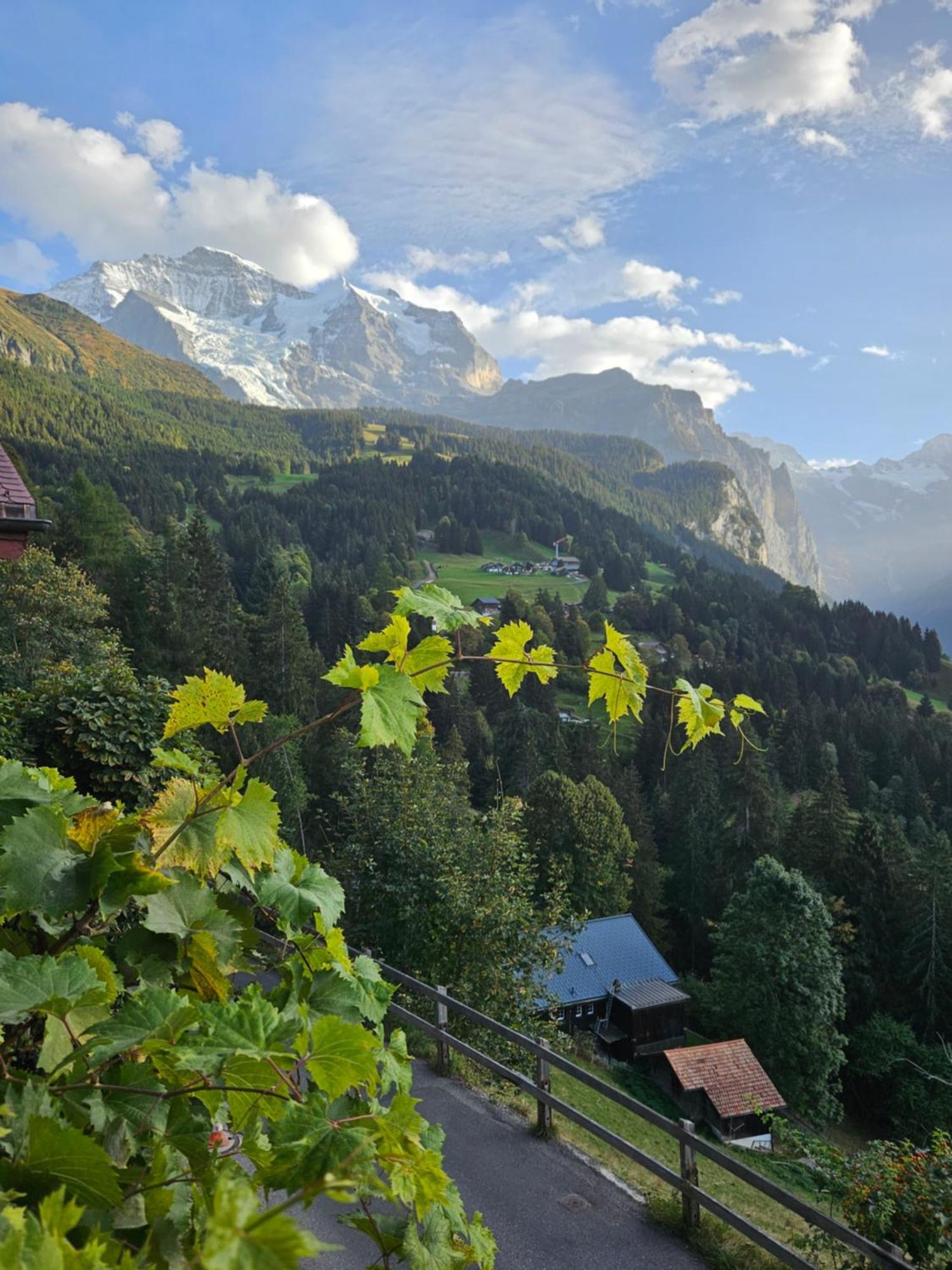 Chalet Aargovia South Wengen Esterno foto